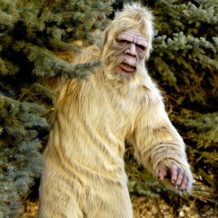 The Untold Truth of 'Finding Bigfoot'