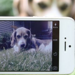 What Depth Effect Is and How It Makes Your Photos Better