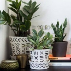 10 Ideas for Decorating Your Work Office